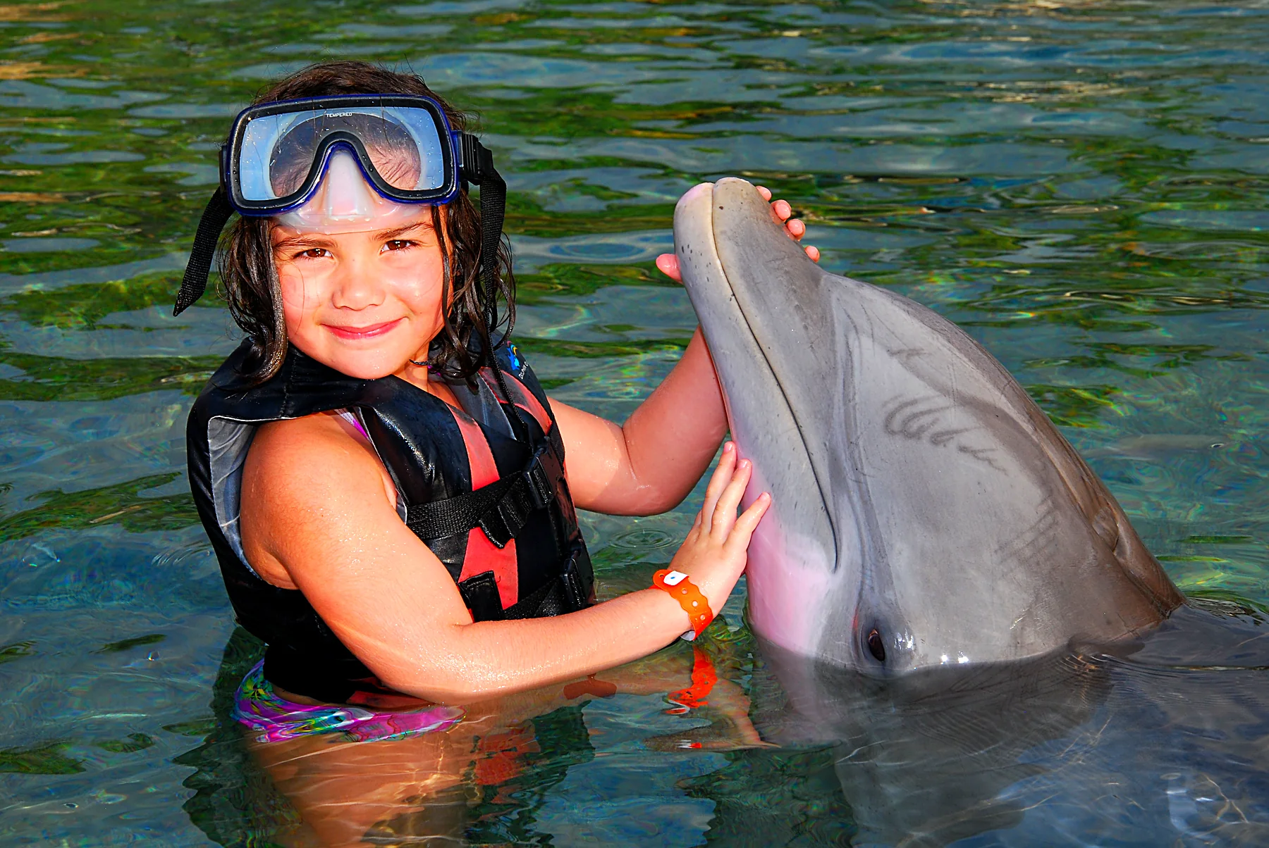 Young Duque saying hello to a dolphin